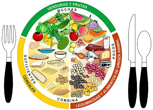 Dibujo del plato de buen comer para colorear - Imagui Dibujo del plato de buen comer para colorear - Imagui
