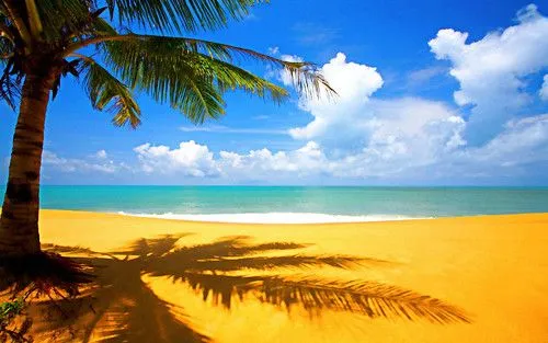 playa-palmera hd | Flickr - Photo Sharing!