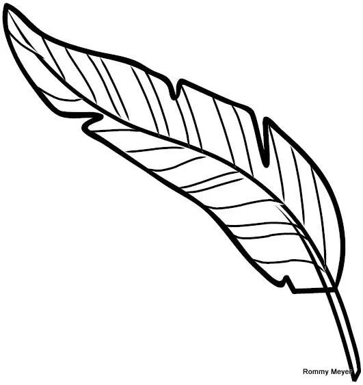Dibujos de plumas indias - Imagui