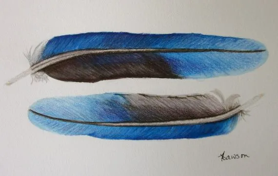 2 plumas azules zafiro dibujo a lápiz color original por anne4bags