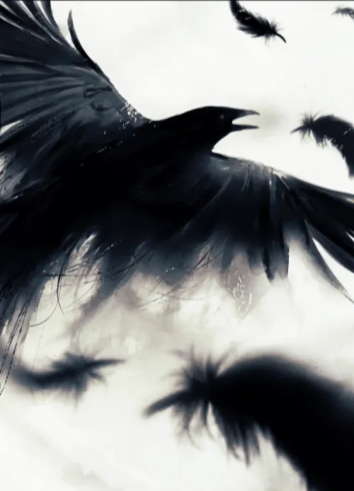 plumas negras | Tumblr