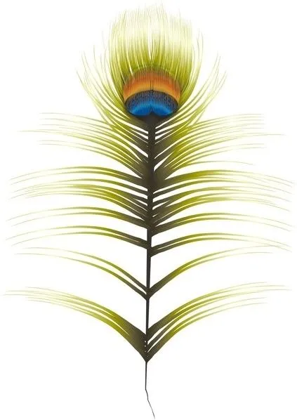 Plumas de pavo real Vector misceláneos - vectores gratis para su ... Plumas de pavo real Vector misceláneos - vectores gratis para su ...