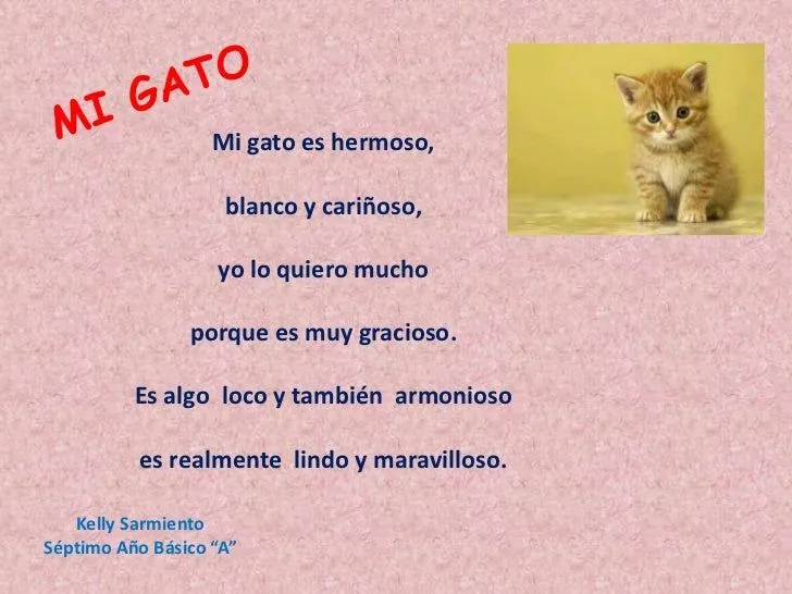 Poema para un gato - Imagui