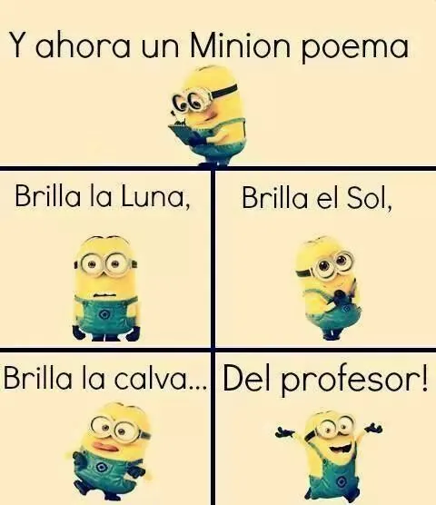 Lugares para visitar on Pinterest | Minions, Baby Dolphins and Frases