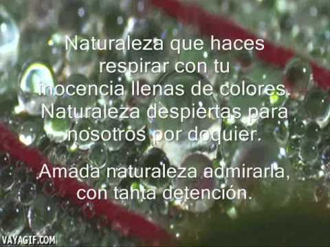 Poema: Naturaleza - YouTube