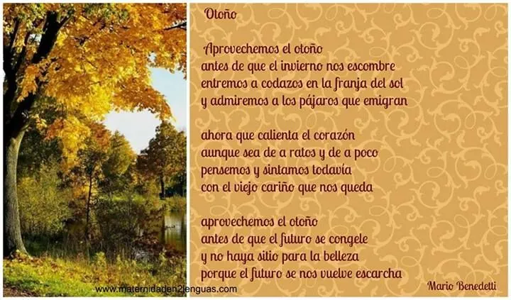 Poema de otoño de Mario Benedeti | Cuqui | Pinterest | Mario