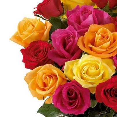 Poema de Rosas Coloridas - Aniversário - Presentes por Ocasião