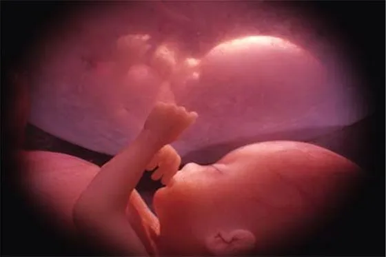 Poemas Poesias Versos y Rimas: POEMAS SOBRE EL ABORTO Poemas Poesias Versos y Rimas: POEMAS SOBRE EL ABORTO