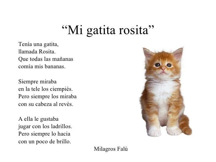 Poemas para mi gato - Imagui