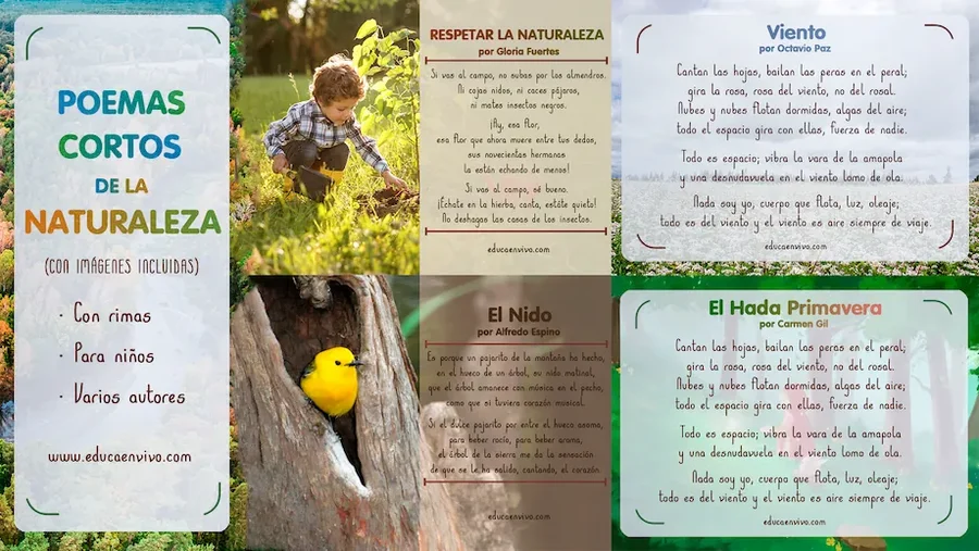 5 Poemas de la Naturaleza Cortos y Bonitos - Educaenvivo
