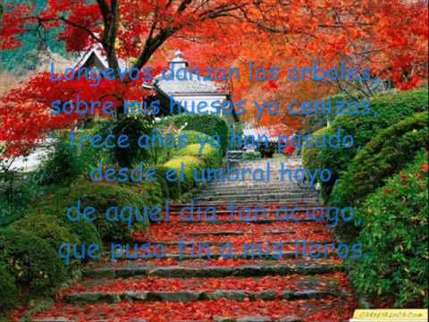 Poesia Quince - YouTube