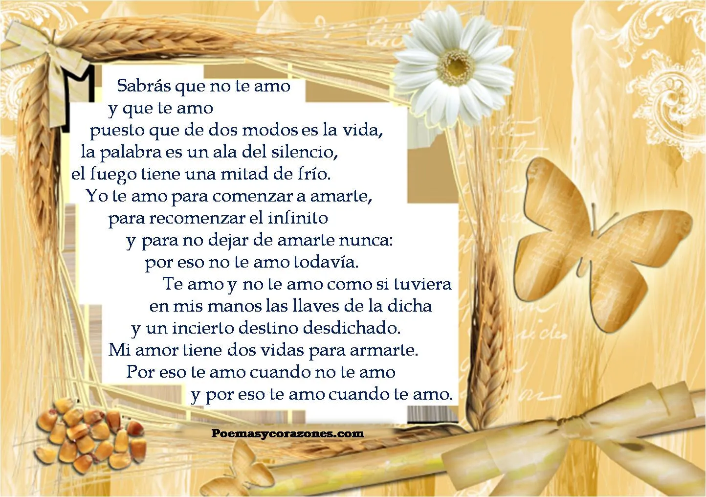 Poesías de amor y amistad ~ Poemas y Corazones Poesías de amor y amistad ~ Poemas y Corazones