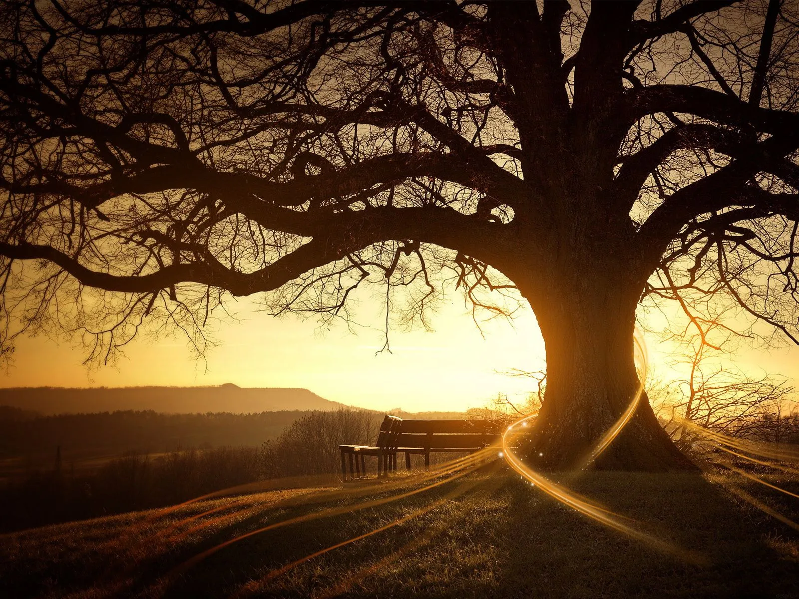 Poetas y cuentacuentos del taller de escritura "Donje" : EL ATARDECER Poetas y cuentacuentos del taller de escritura "Donje" : EL ATARDECER