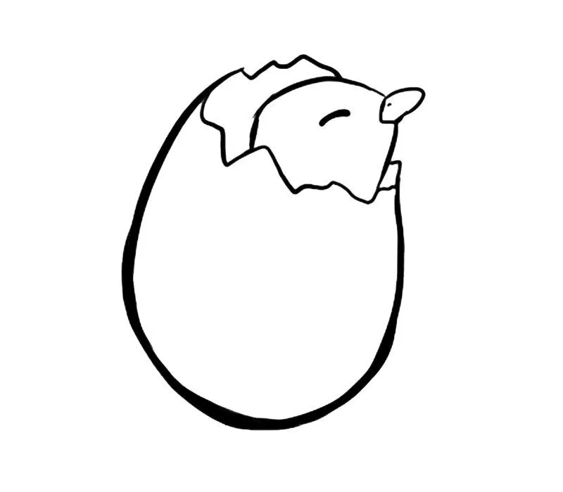Pollito rompiendo el huevo: Dibujos para colorear