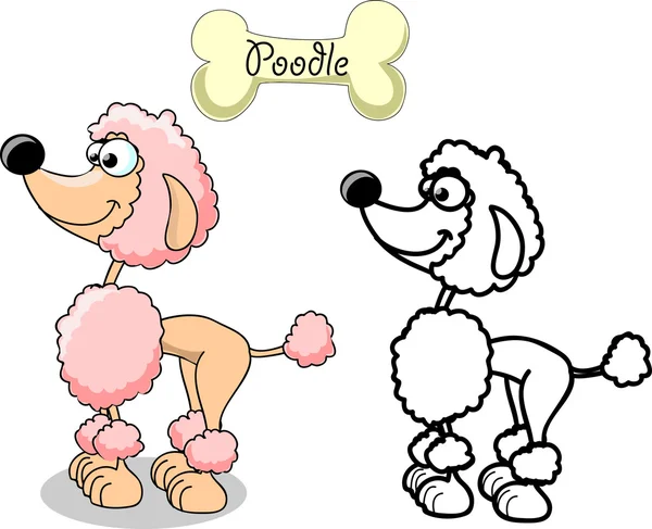 poodle de raza de perro de dibujos animados — Vector stock ...
