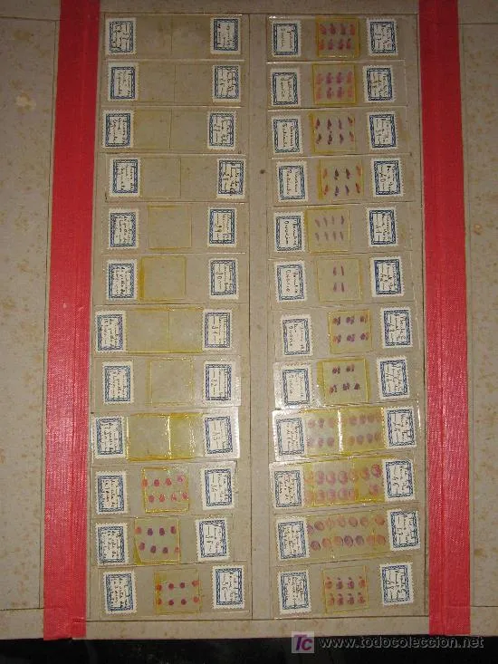 porta muestras vidrio 1932 ( carpeta con 24 ud - Comprar ...