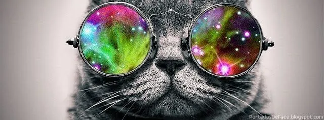 Portada para Facebook de Gatos Graciosos con lentes | Portadas ...