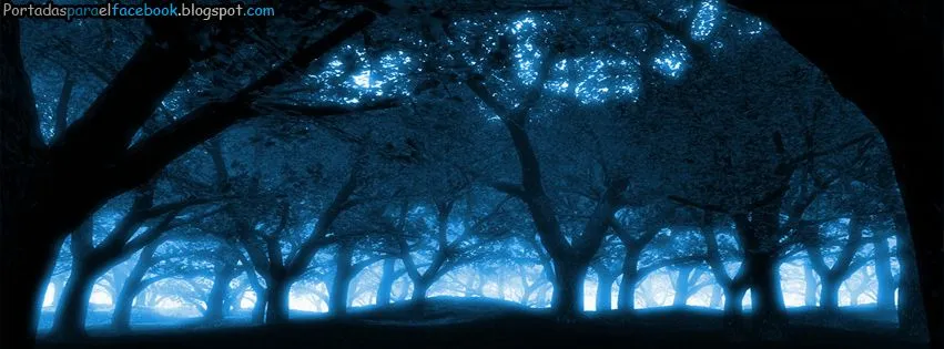 Portadas de Bosques tenebrosos para facebook - Portadas para facebook Portadas de Bosques tenebrosos para facebook - Portadas para facebook