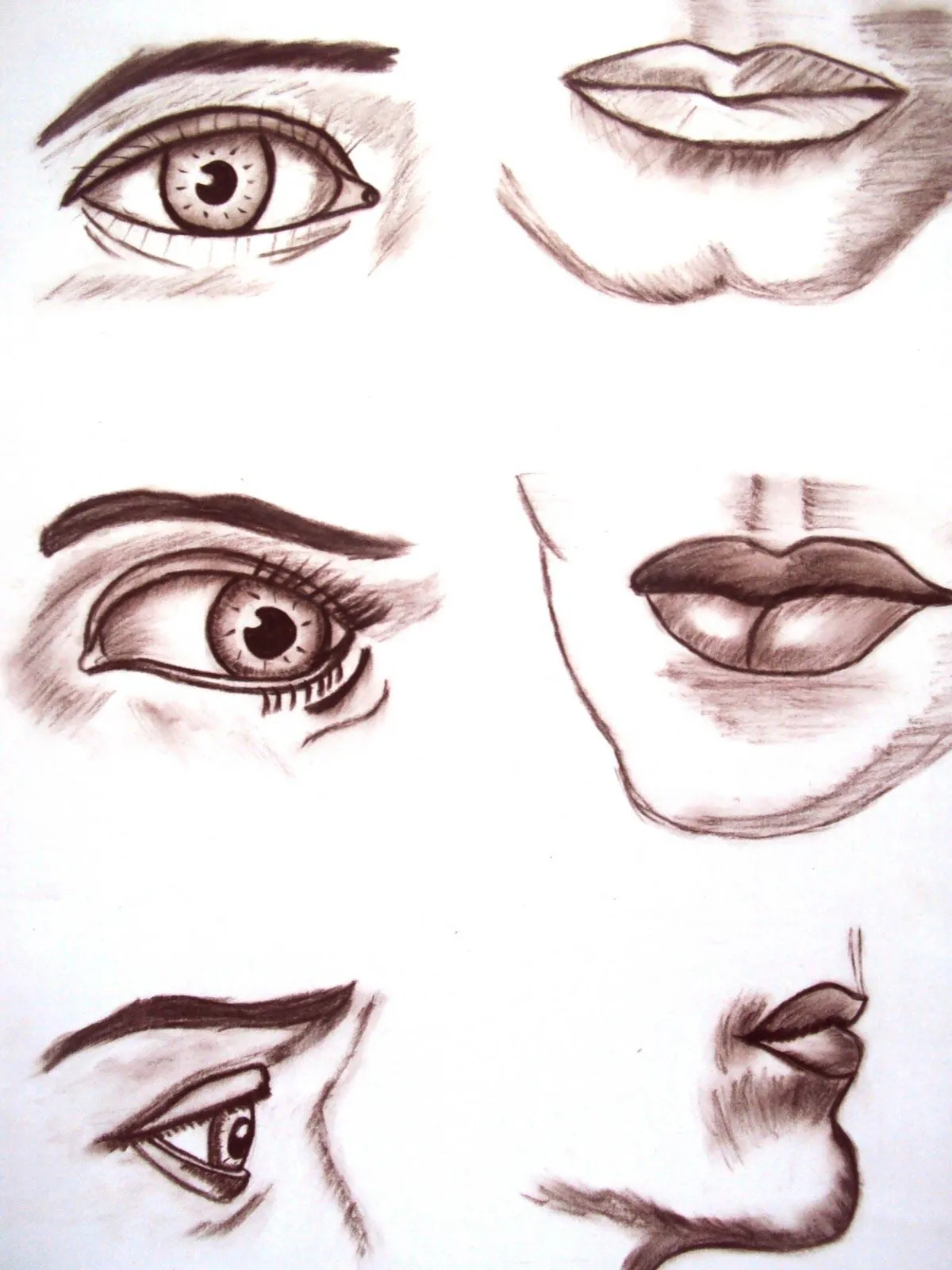 Portafolio Daniela Castro: Rostro: Ojos, Nariz, Boca y Orejas. Portafolio Daniela Castro: Rostro: Ojos, Nariz, Boca y Orejas.