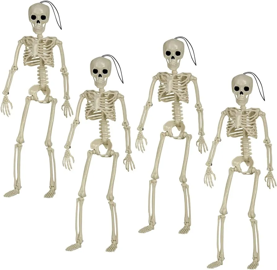 Posable esqueleto de Halloween, 4 piezas de plástico de cuerpo completo de  16 pulgadas, decoraciones de esqueleto de calavera de Halloween con  articulaciones móviles para decoraciones de casa embrujada : Amazon.com.mx:  Hogar