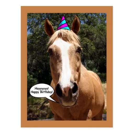 Postal del cumpleaños - Bess el caballo | Zazzle