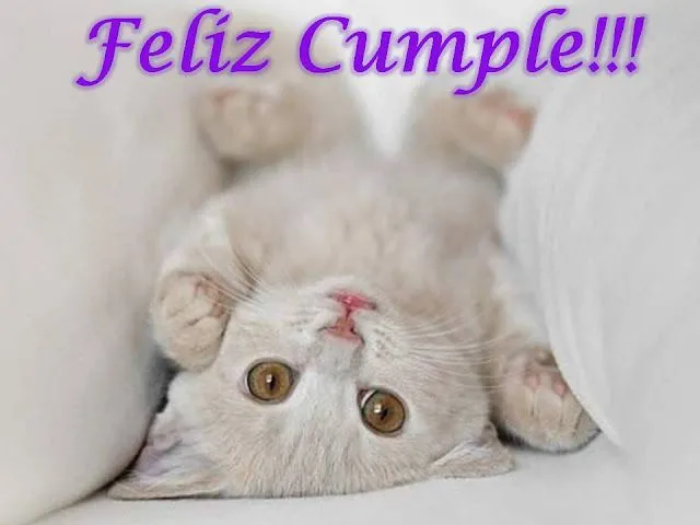 Postales de feliz cumpleaños de gatitos - Imagui
