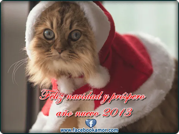 Postales de lindo gatito navidad para facebook - Imagenes de Amor ...