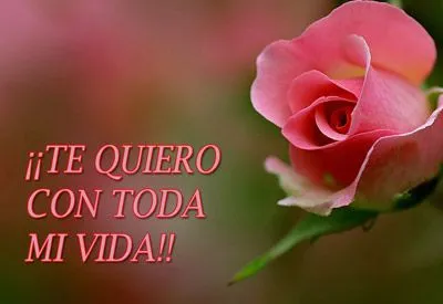 Postales de Rosas Lindas | Comentarios Web ...
