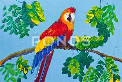 Imagen Vectorial de Poster Color De Dibujo Guacamaya Roja ... Imagen Vectorial de Poster Color De Dibujo Guacamaya Roja ...