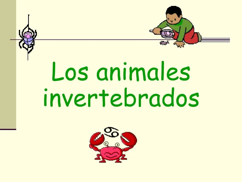 PPT - Los animales invertebrados PowerPoint Presentation, free download -  ID:5491573