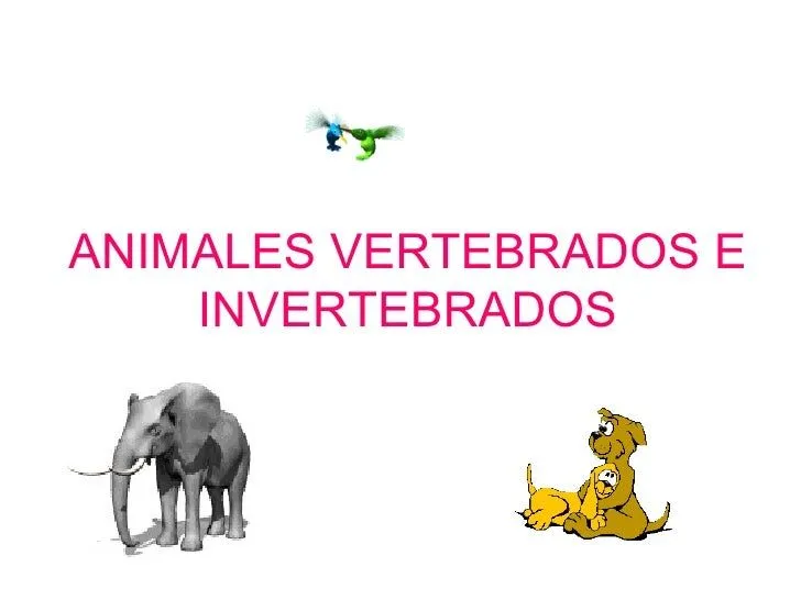 Ppt de animales vertebrados e invertebrados