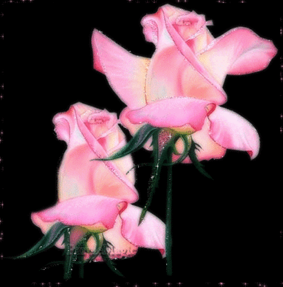 Preciosas rosas con brillos - Imagenes con Frases, Fotos y ...