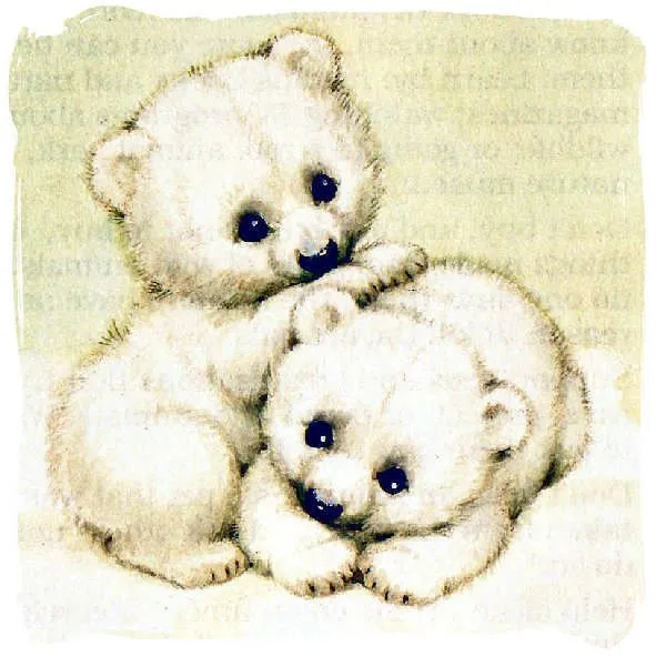 Imagenes • Dibujos de osos bebes tiernos