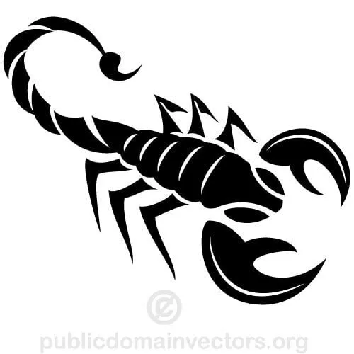 Prediseñadas escorpión vector | Vectores de dominio público