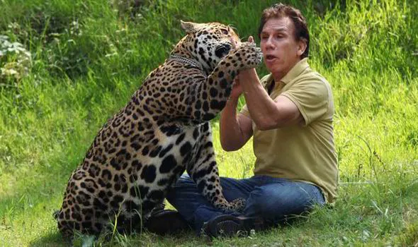 Preposterous Pets: Cat lover Rafael Villafane lives with predator ...