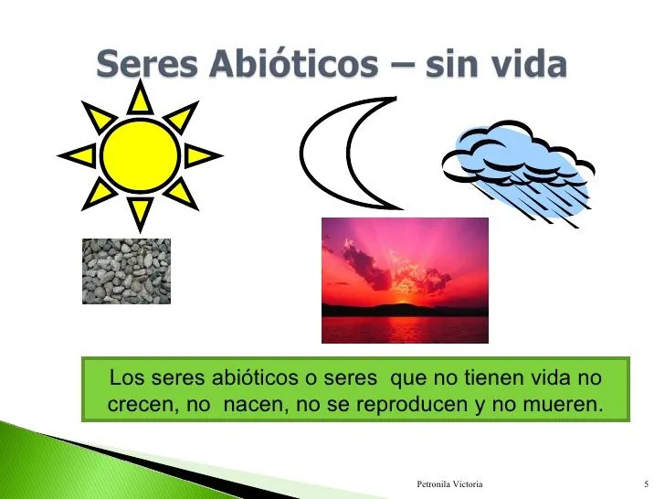 Presentación: LOS SERES VIVOS (biología - ciencias naturales primaria -  seres vivos y seres inertes - reinos de la naturaleza)