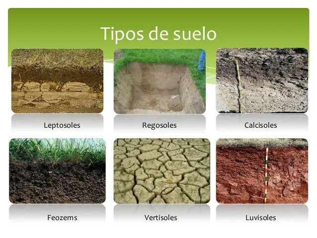 Prevención y control de la contaminación del suelo Prevención y control de la contaminación del suelo