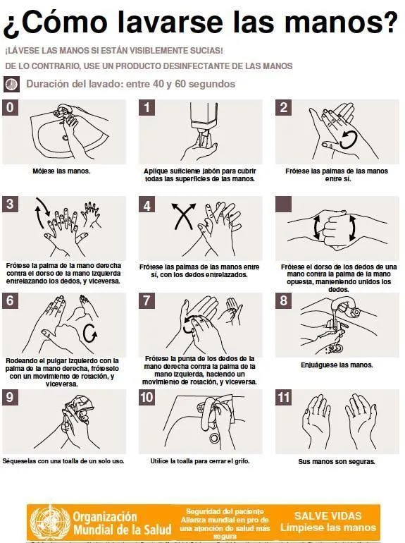 PrevenConsejo: Como lavarse correctamente las manos paso a paso, según la  OMS | Prevencionar