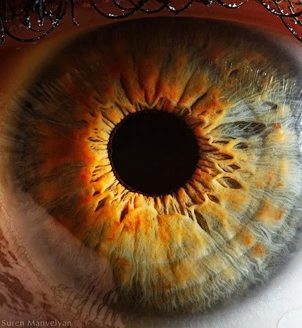 Primerísimos planos de ojos humanos (Fotos HD) Primerísimos planos de ojos humanos (Fotos HD)