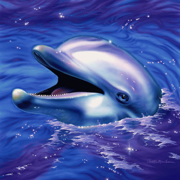 Delfín que te quiero azul - Monologos del alma