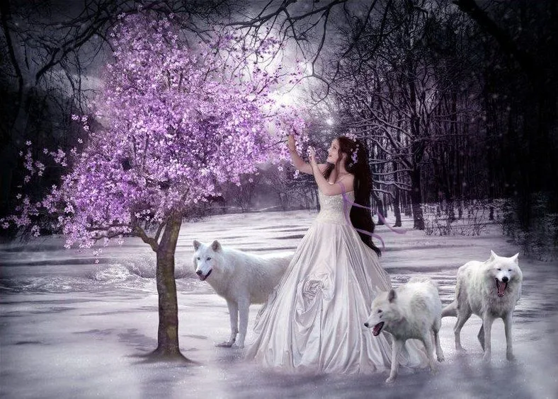 Princesa de la nieve con sus lobos en invierno | Banco de Imágenes