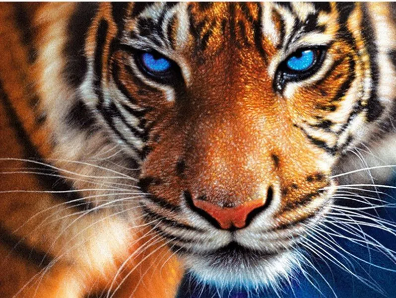 Promoción de Ojos De Tigre Pintura - Compra Ojos De Tigre Pintura ...