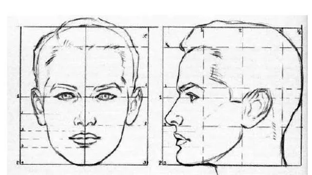 Proporción del rostro | EL RETRATO