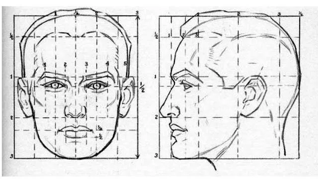 Proporción del rostro | EL RETRATO