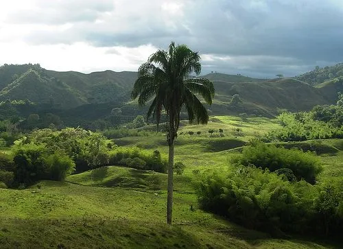 PROTEGE EL MEDIO AMBIENTE Y CUIDA TU VIDA.: LA EDUCACIÓN Y EL ... PROTEGE EL MEDIO AMBIENTE Y CUIDA TU VIDA.: LA EDUCACIÓN Y EL ...