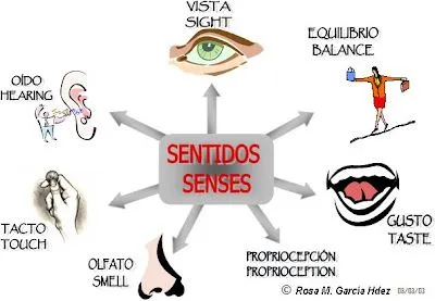 dibujos de los cinco sentidos - group picture, image by tag ...