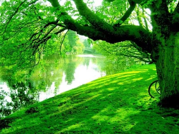 Psicologicamente . . . . .: VERDE Psicologicamente . . . . .: VERDE