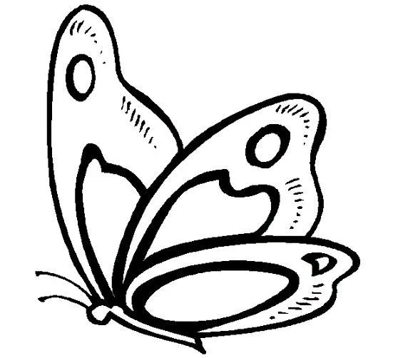 Mariposas lindas y faciles de dibujar - Imagui