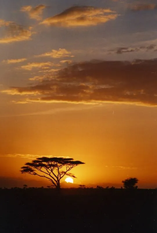 Puesta de sol en el Serengeti - 3viajes