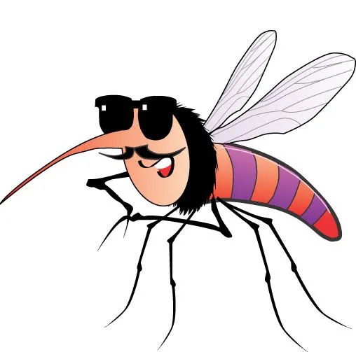 pulgón: Fotos de mosquitos